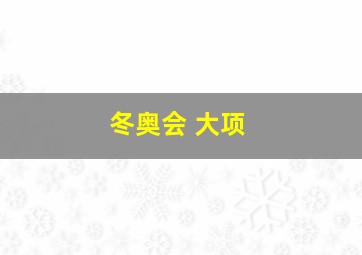 冬奥会 大项